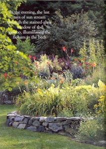 Laws of Nature 5