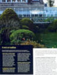 Fine Gardening 7