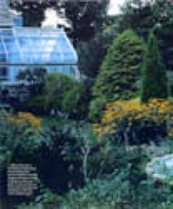 Fine Gardening 9