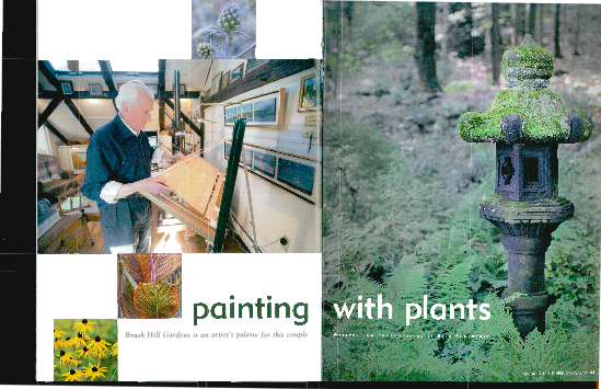 Painting Plants Cover