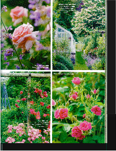 Perfect Country Gardens 4