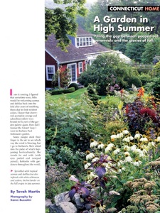 Garden in High Summer 1